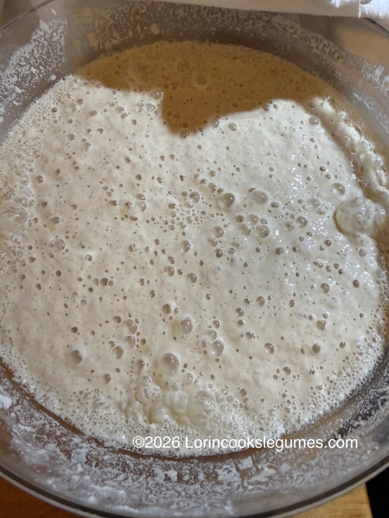A clear bowl filled with bubbly, frothy batter, showcasing fermentation with visible air bubbles.