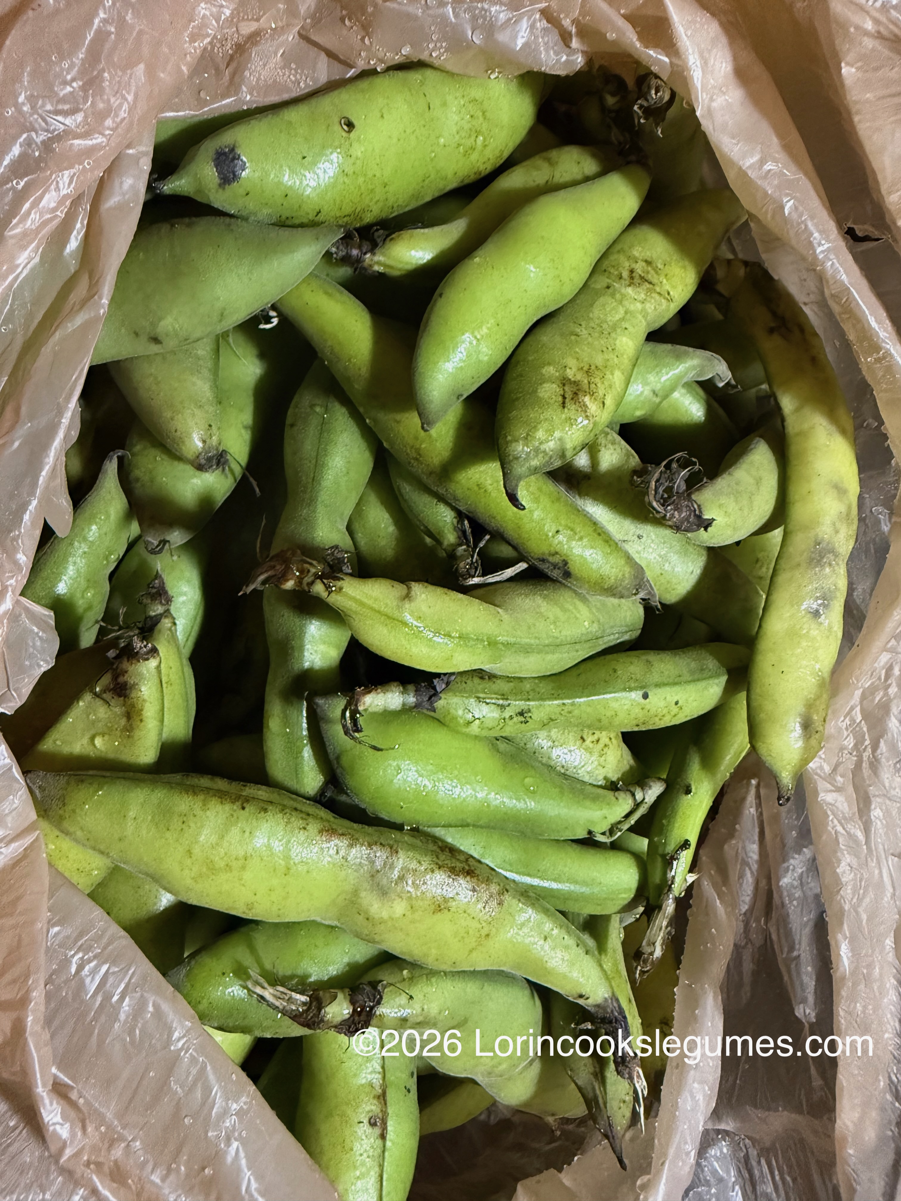 Fresh green fava beans in pods inside a plastic bag