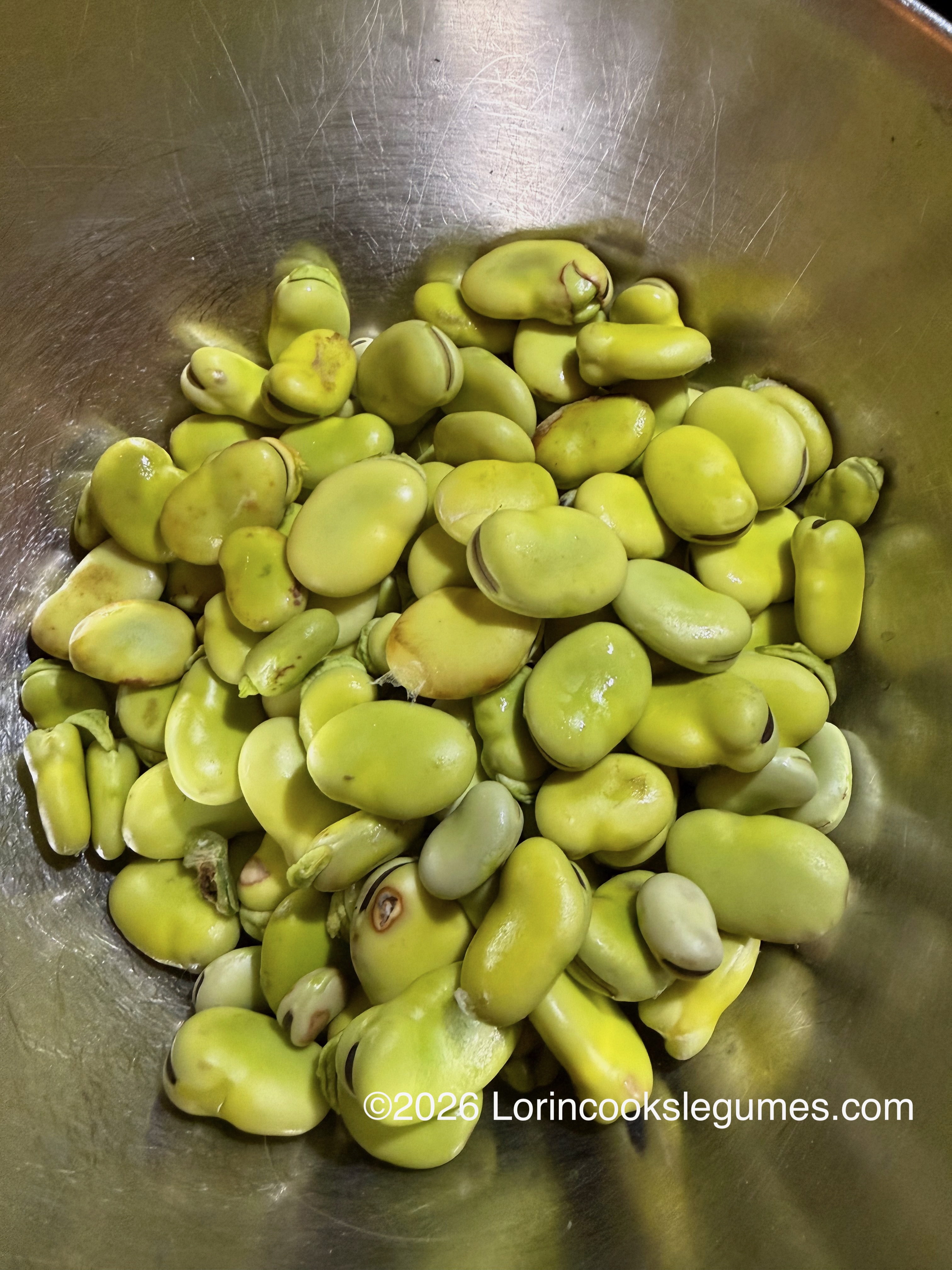 Bowl filled with fresh broad beans