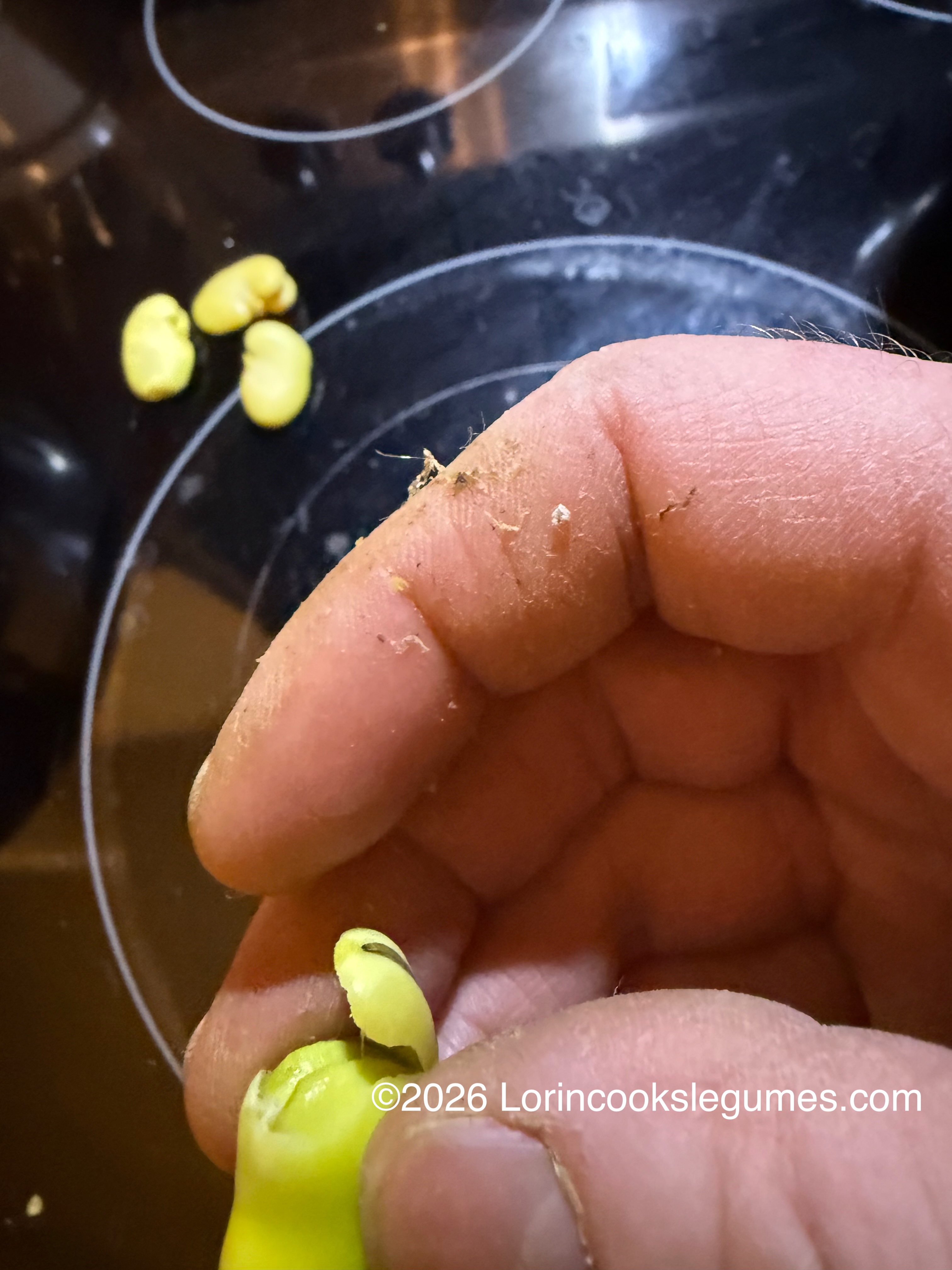Hand holding a yellow fava bean against a dark cooking surface with three yellow beans in the background, showing the first step of the peeling process.