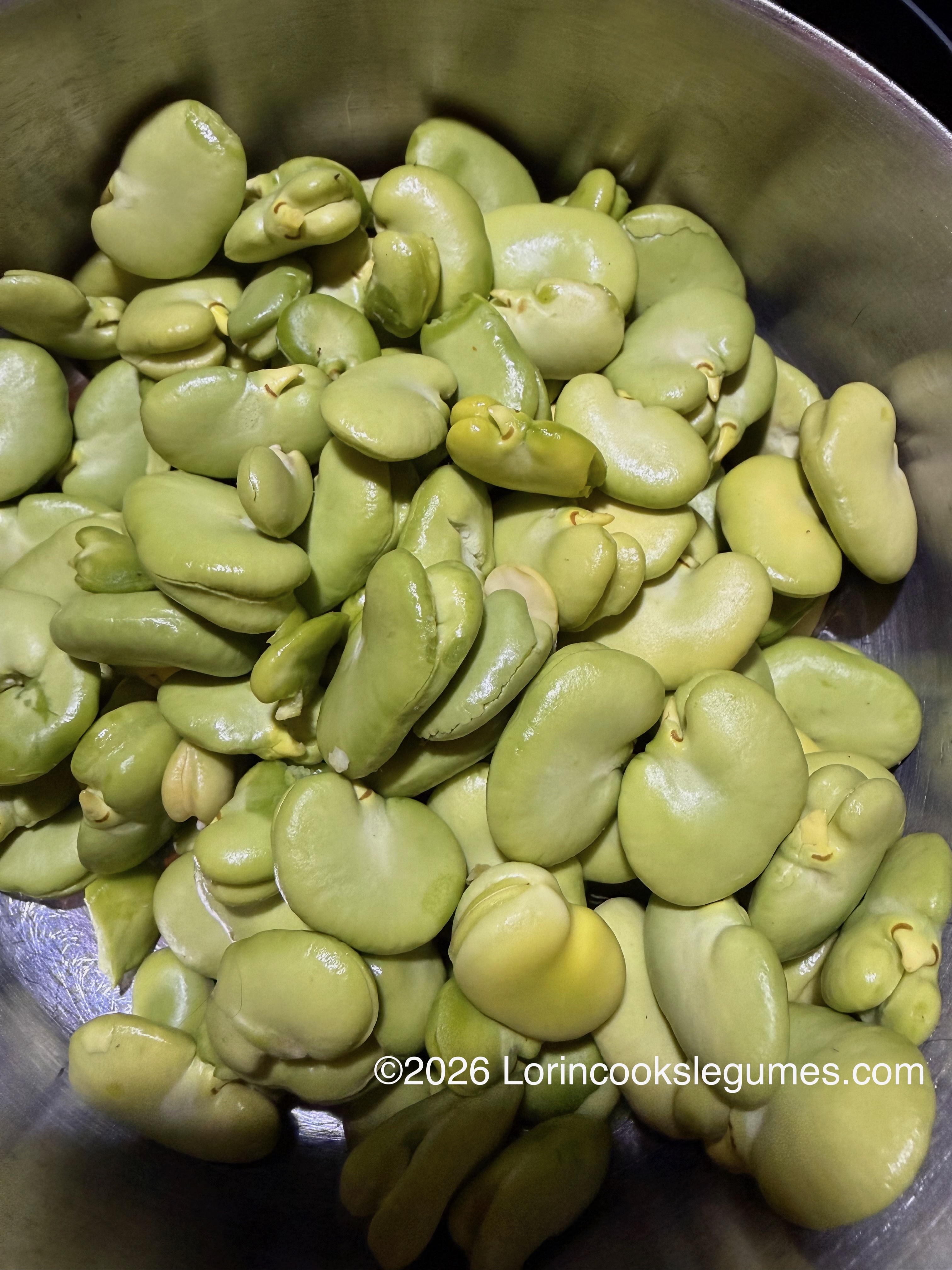 Fresh peeled broad beans in a metal bowl