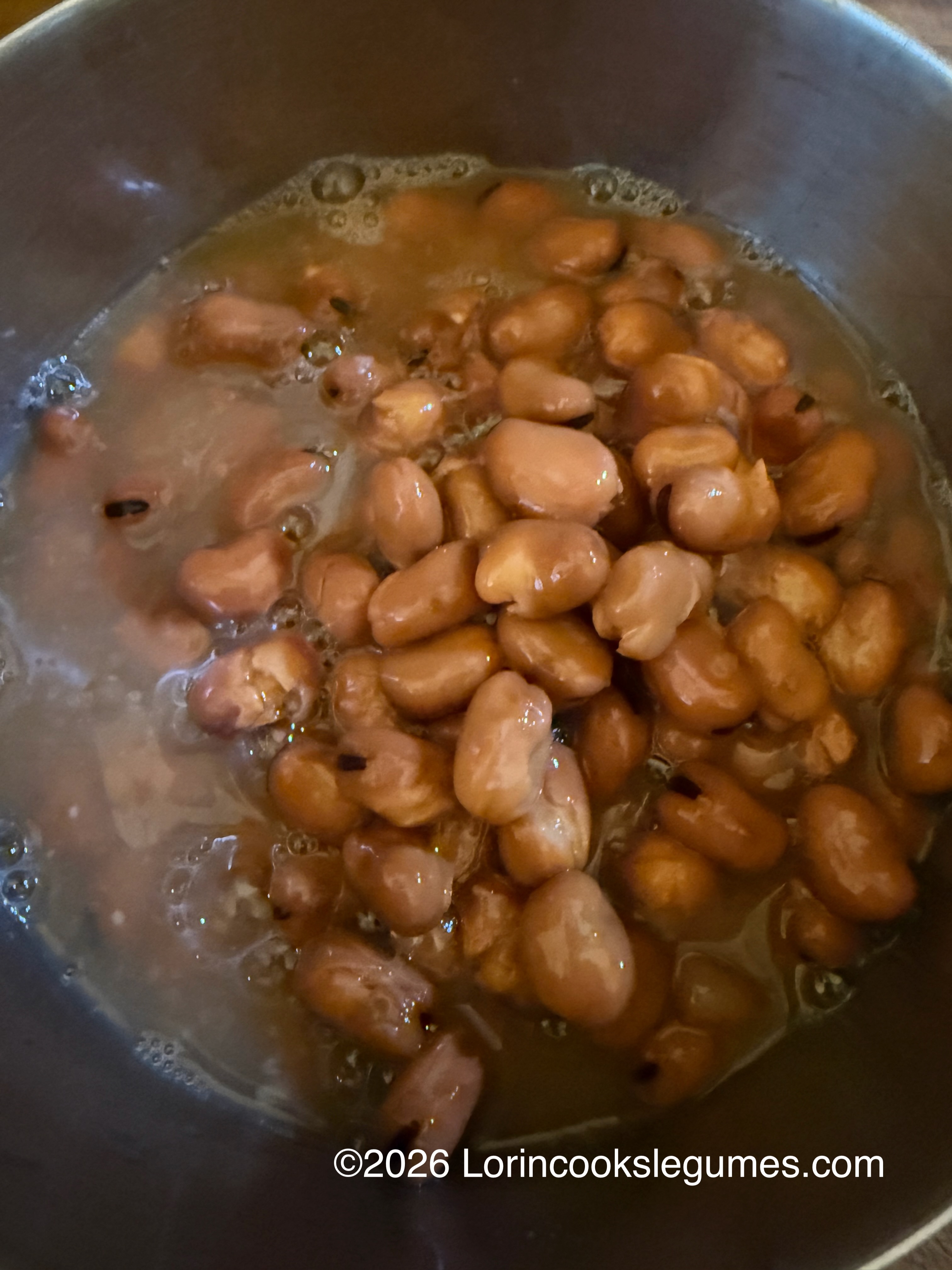 Brown fava beans and their liquid in a stainless steel bowl.