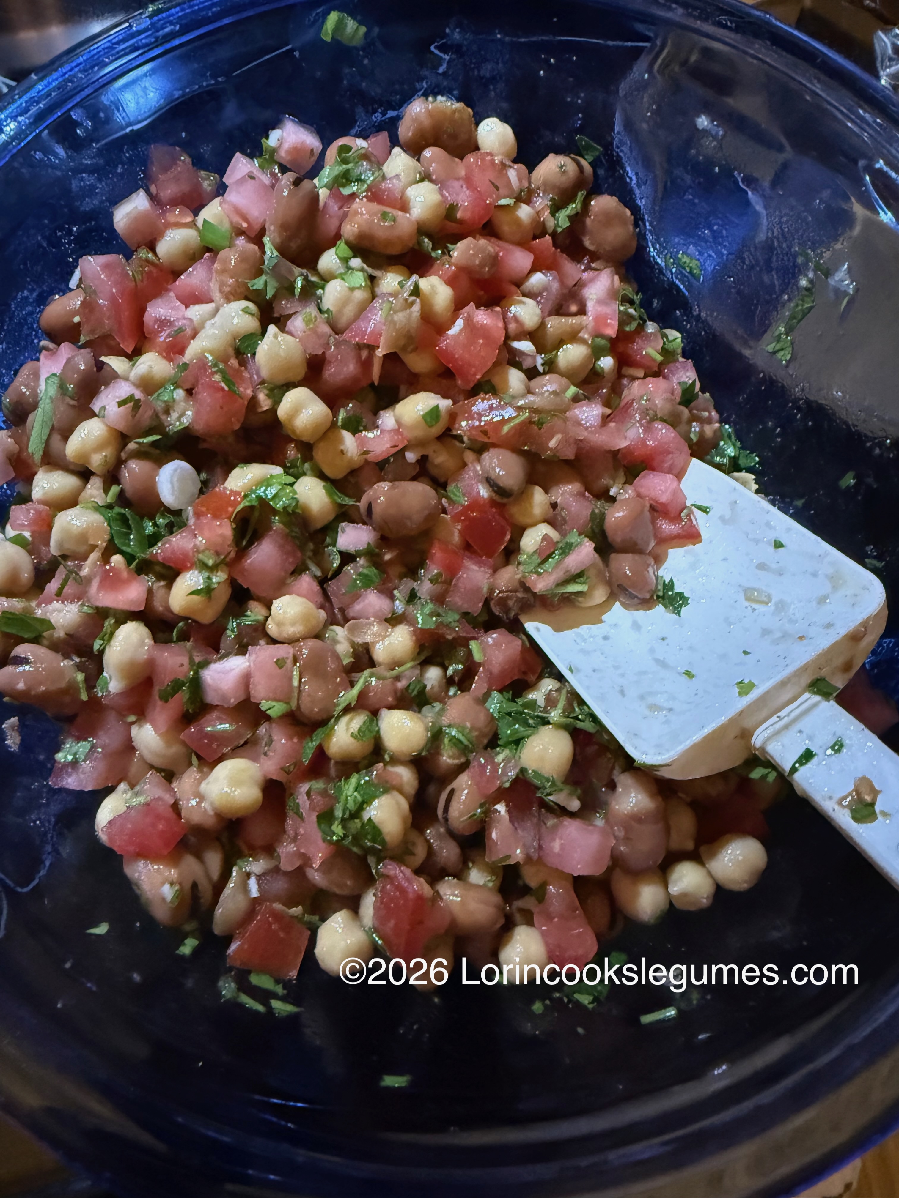 IMG_9958 Close-up of a bowl with chopped tomatoes, beans, herbs, and a white spatula