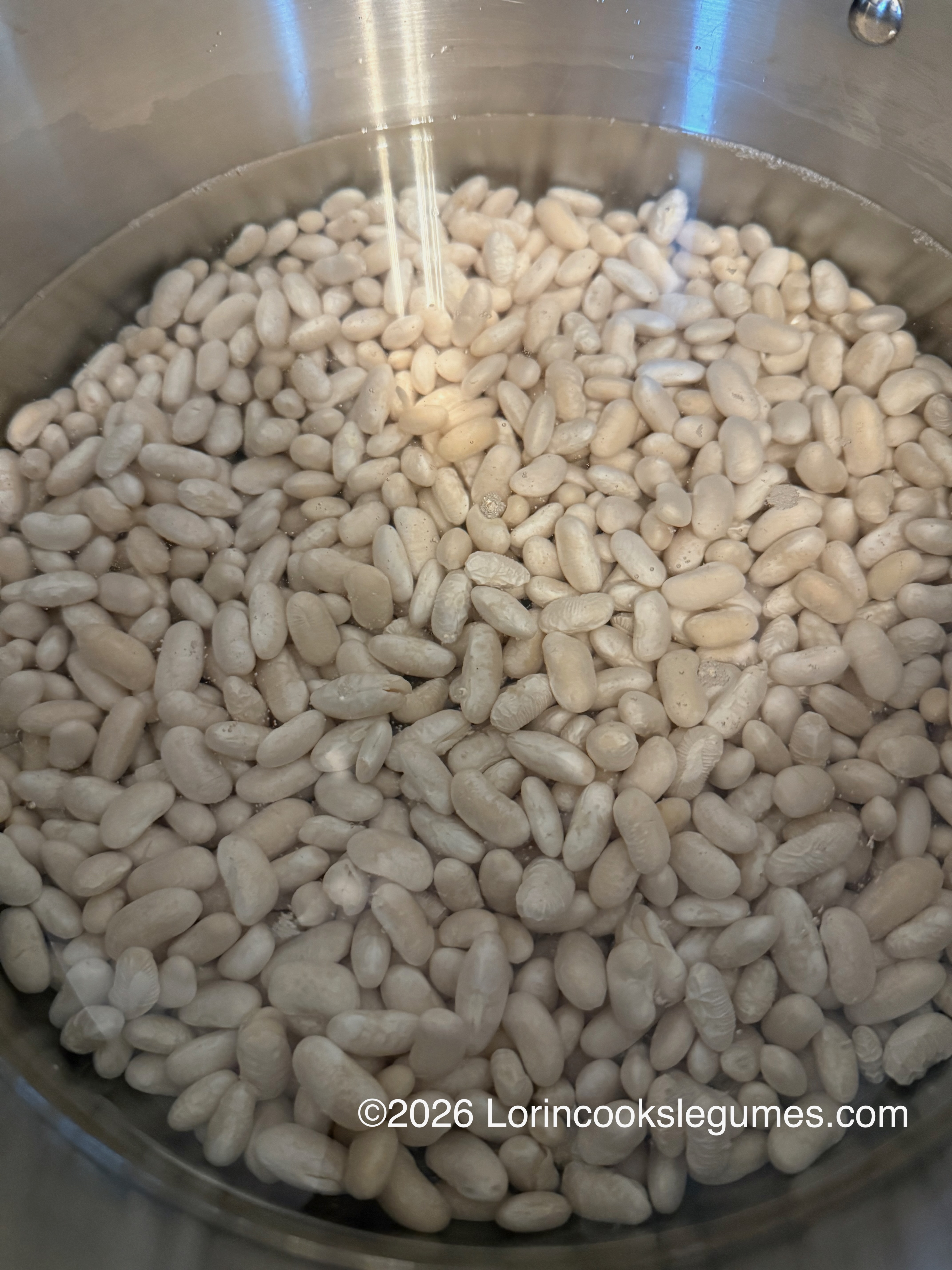Dry white beans soaking in water inside a stainless steel pot
