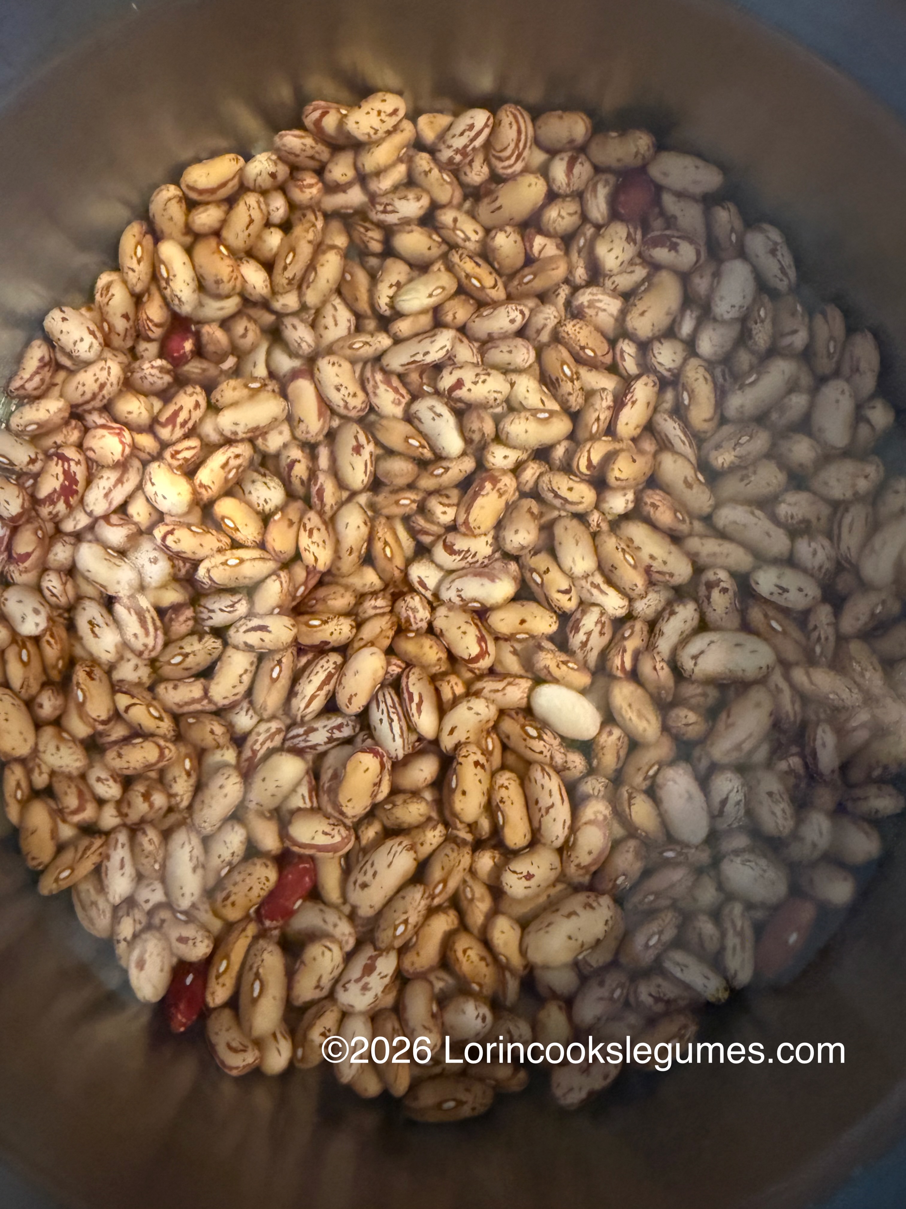 Cranberry beans soaking in water inside a metal bowl