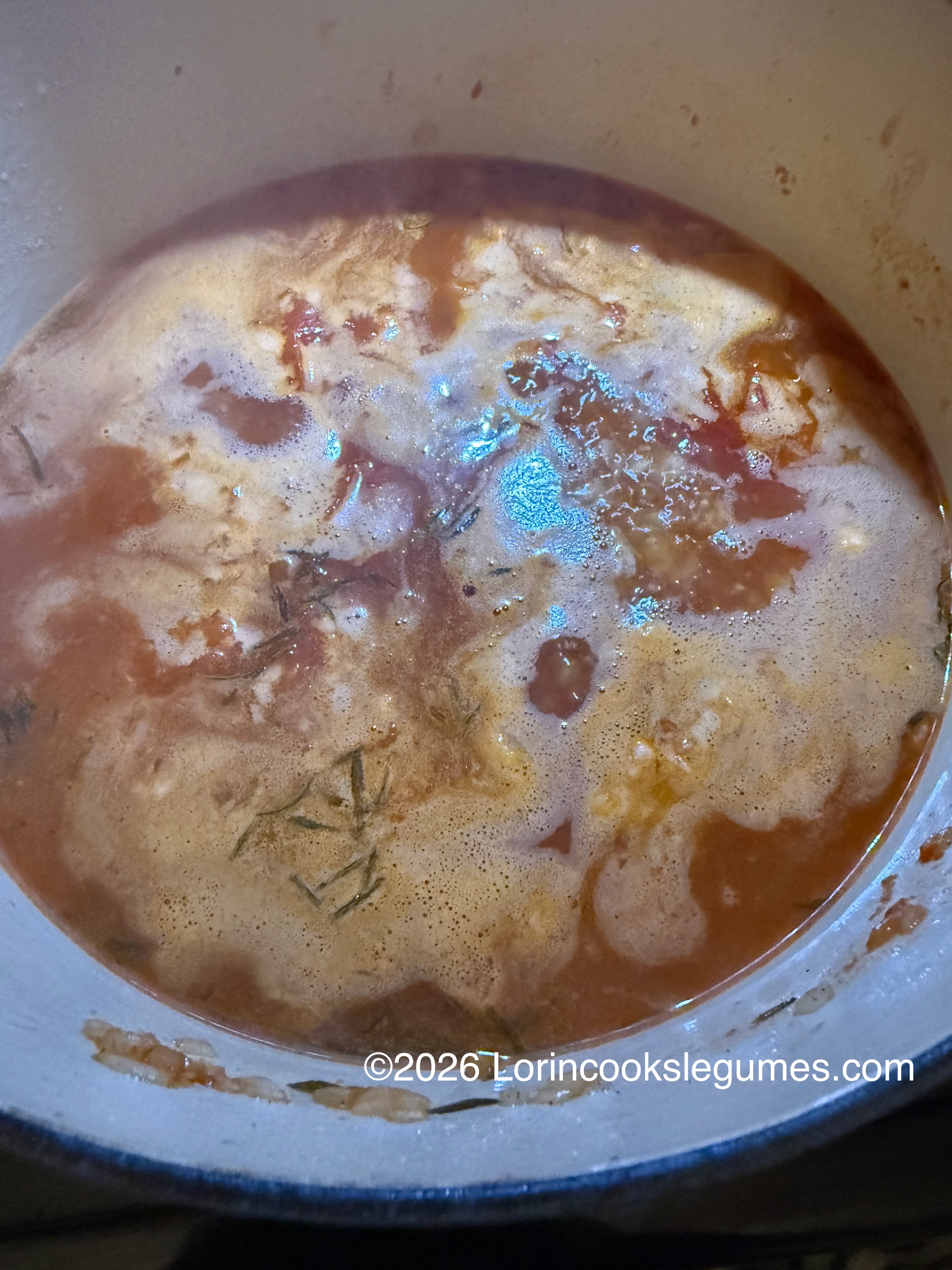 IMG_0225 Close-up of a pot of reddish-brown liquid with bubbles and foam; ©2026 Lorincookslegumes.com