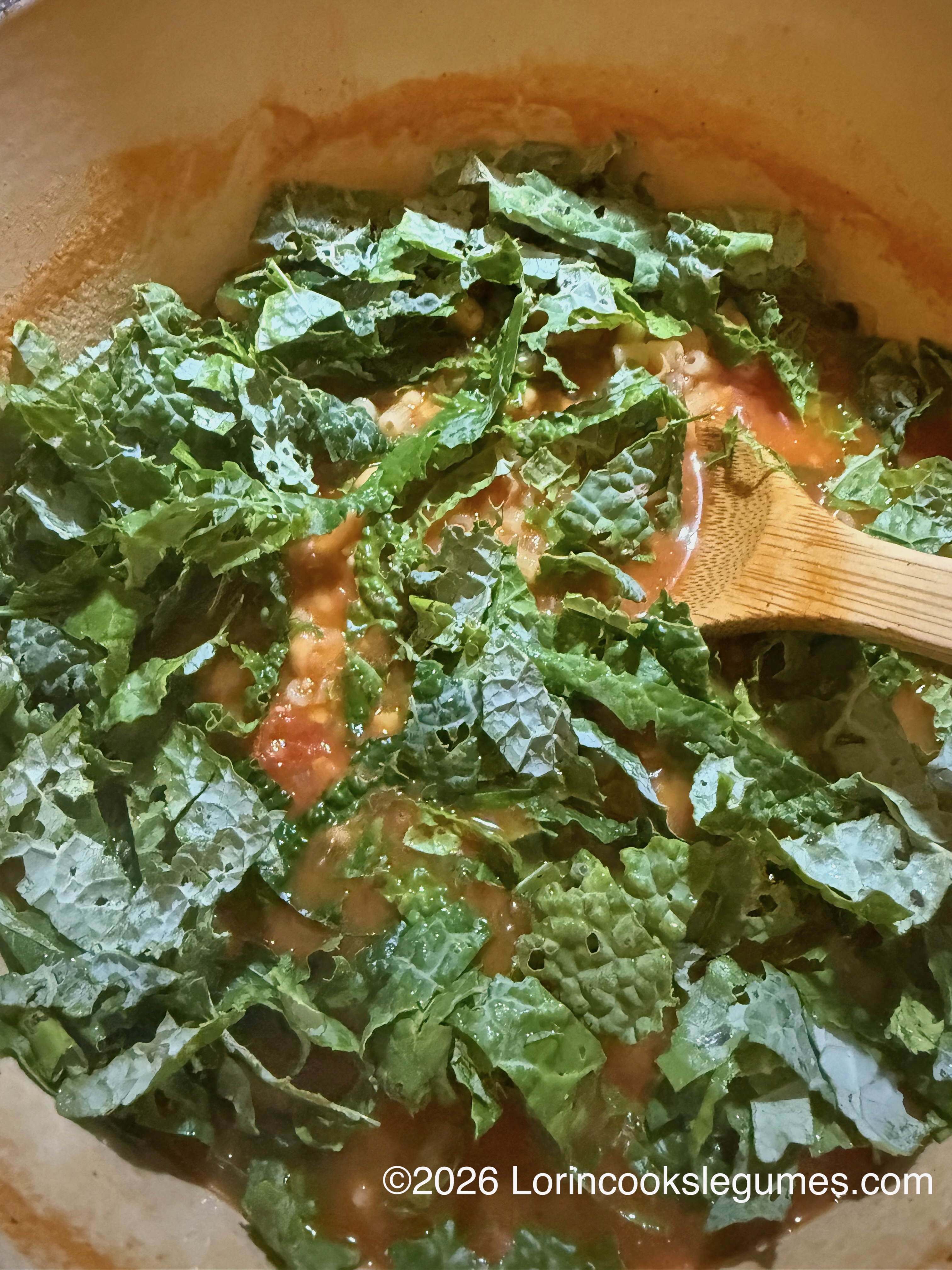 IMG_0227 Close-up of kale being mixed into a tomato based soup.