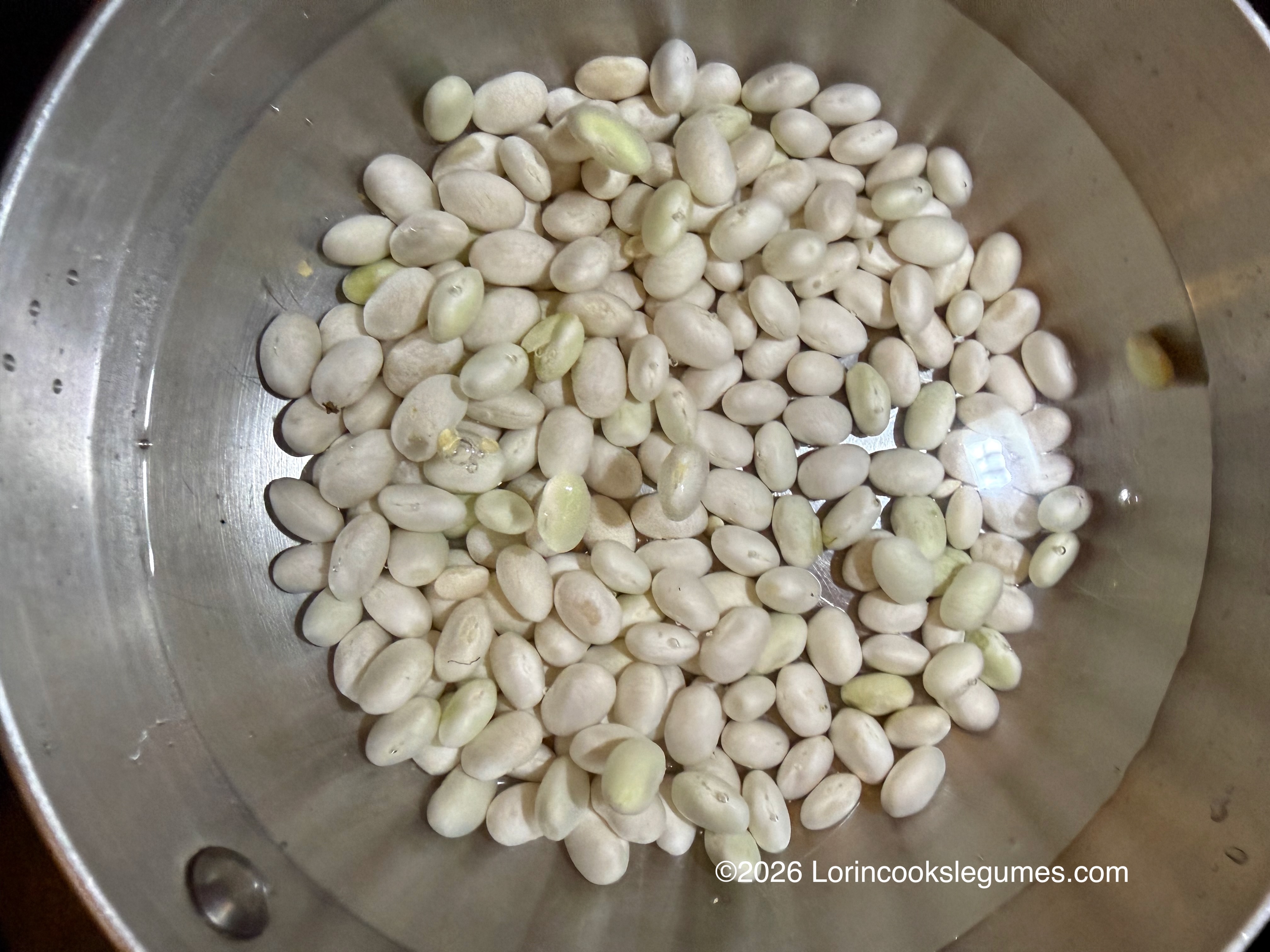 IMG_0262 White beans covered with water inside a metal pan.