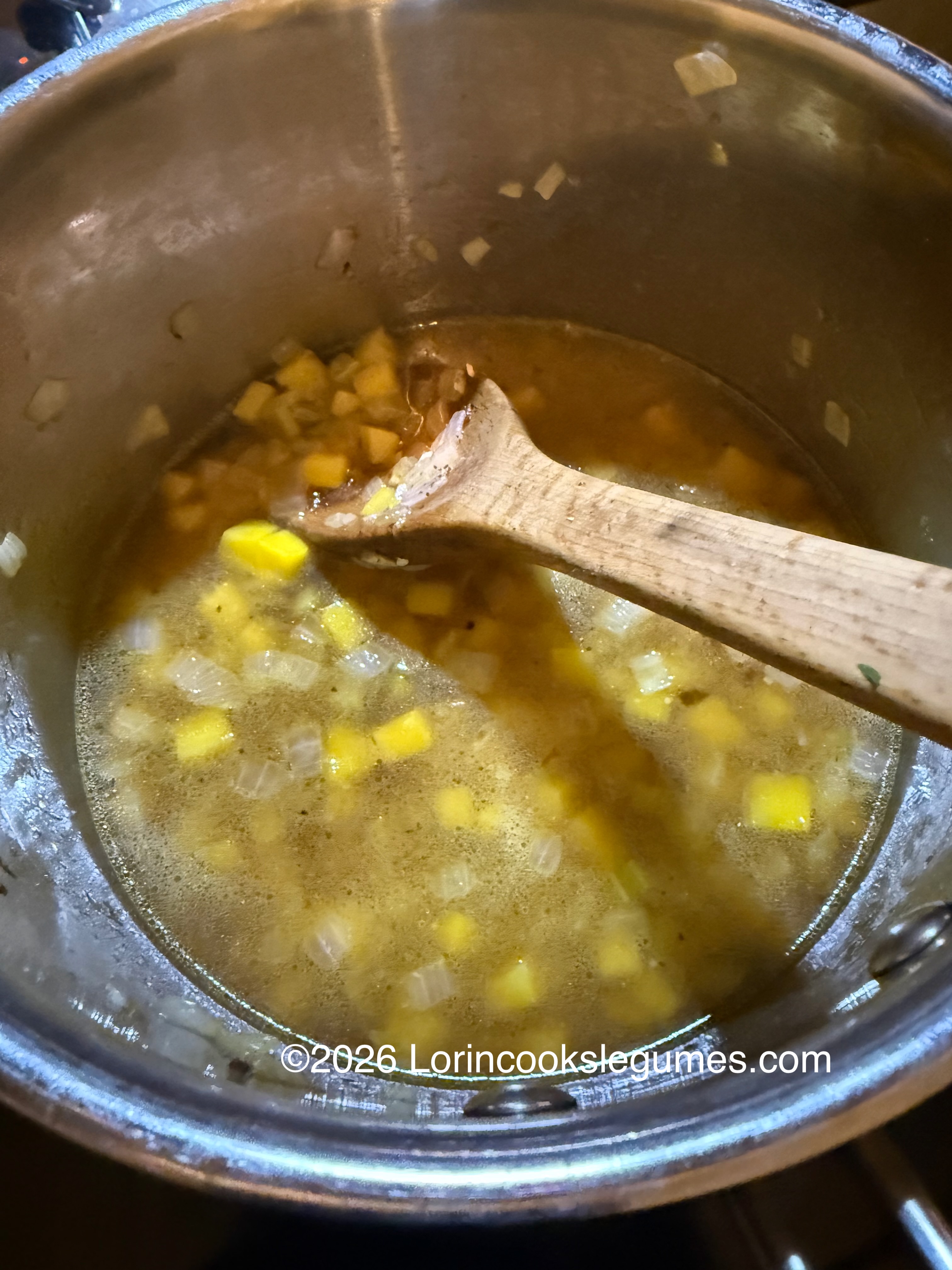 IMG_0270 Close-up of a stainless steel pan with brown broth, vegetables, and a wooden spoon.