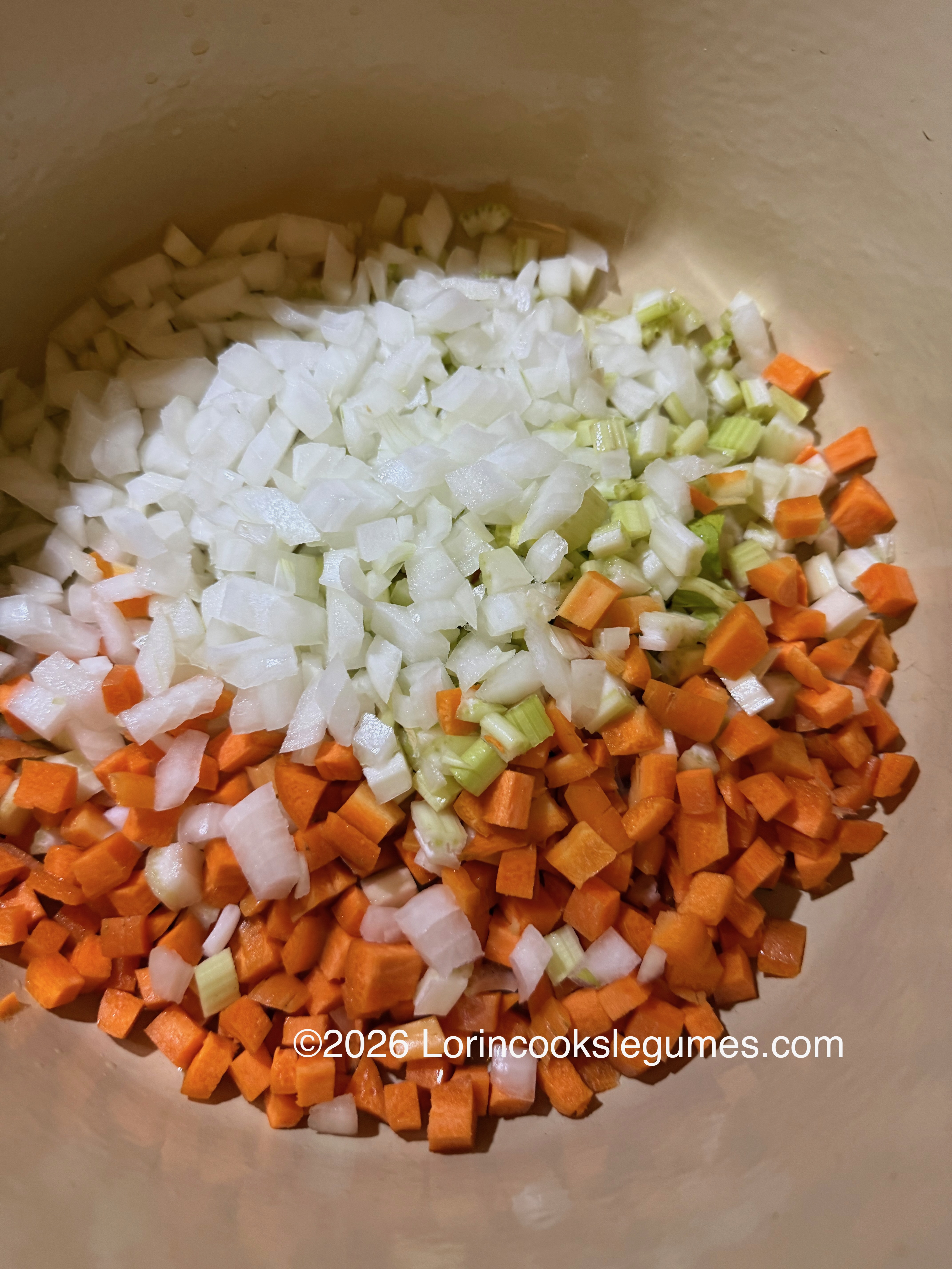 Close-up of chopped carrots, onions, and celery in a pot.
